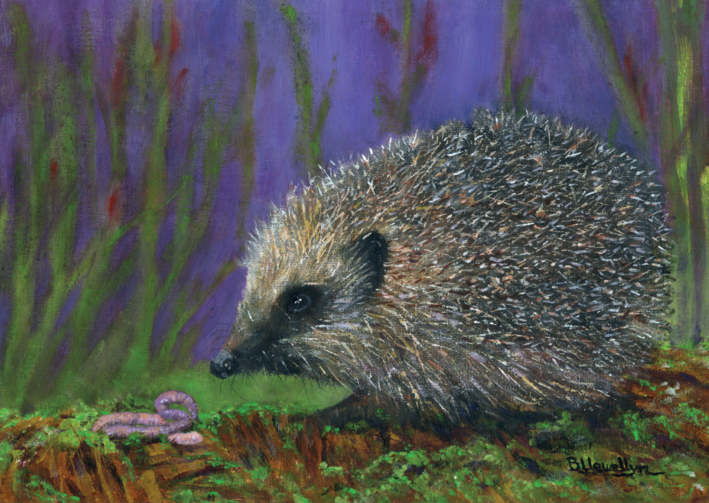 Catherine de Barnes Art Society & Solihull Society of Arts Joint Exhibition