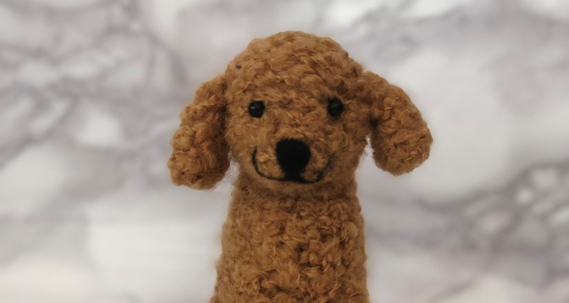 Needle Felting Workshop - Poodle