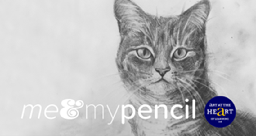 How to draw a Tabby Cat