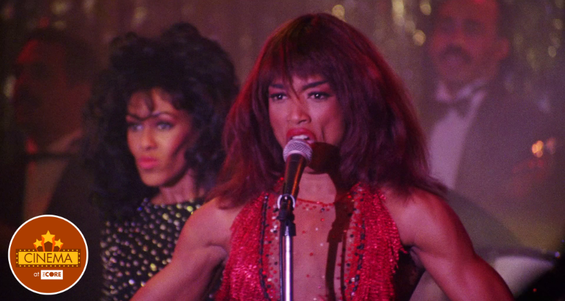 What's Love Got To Do With It (1993)